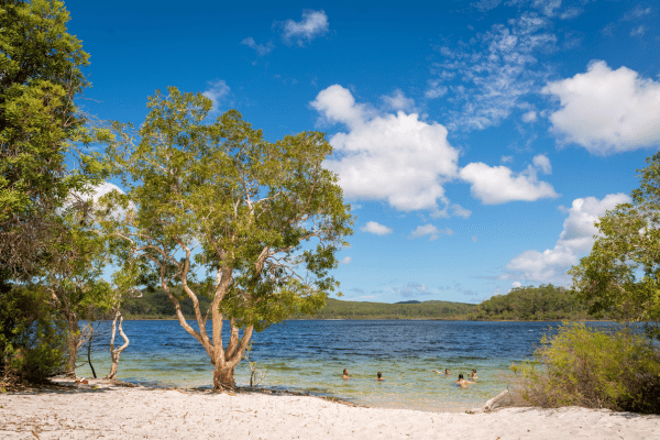 Lake Birrabeen K'gari