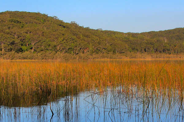 Lake Birrabeen, Fraser Island