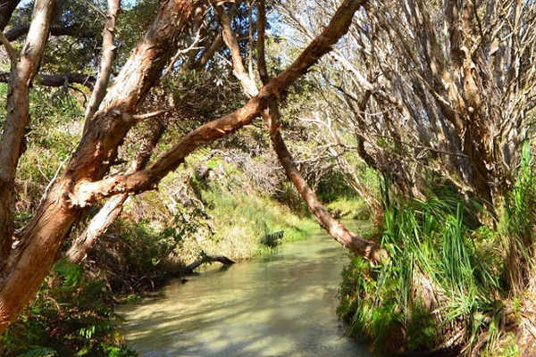 Govi Creek
