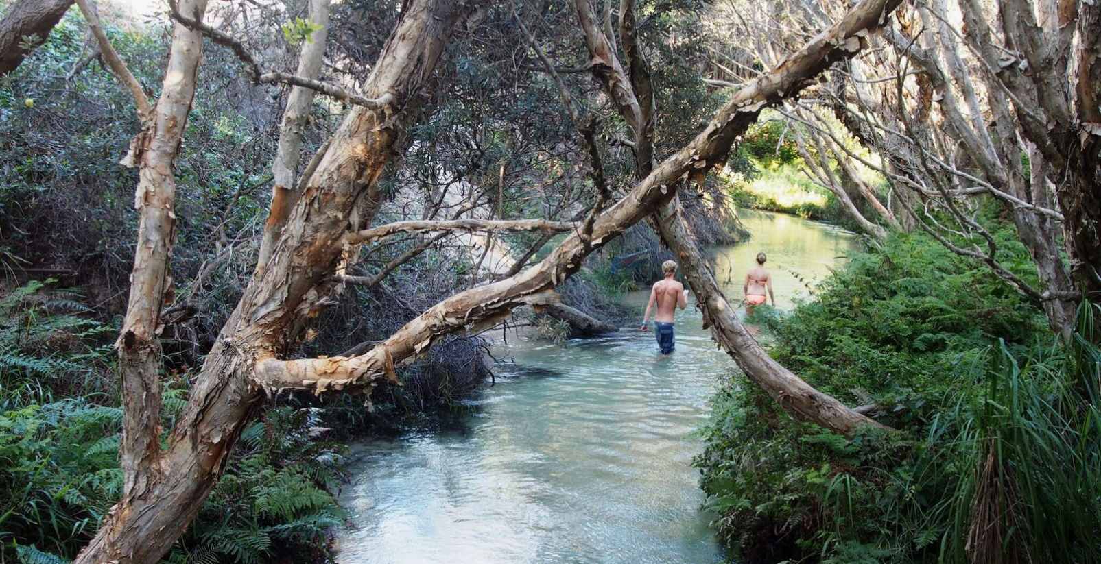 Eli Creek