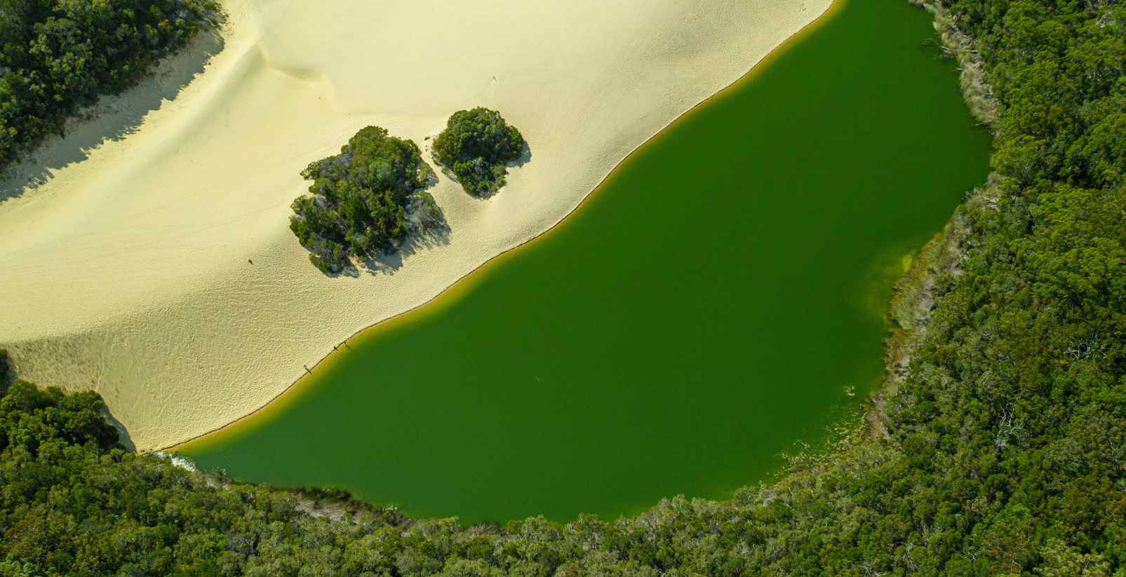 Lake Wabby