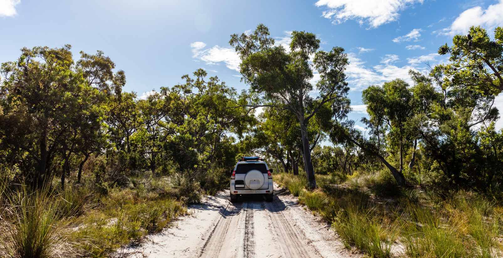 4wd on Fraser Island Beach