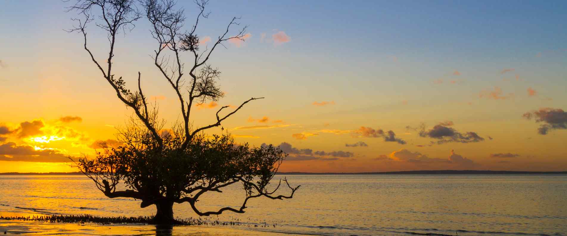 Sunset over water