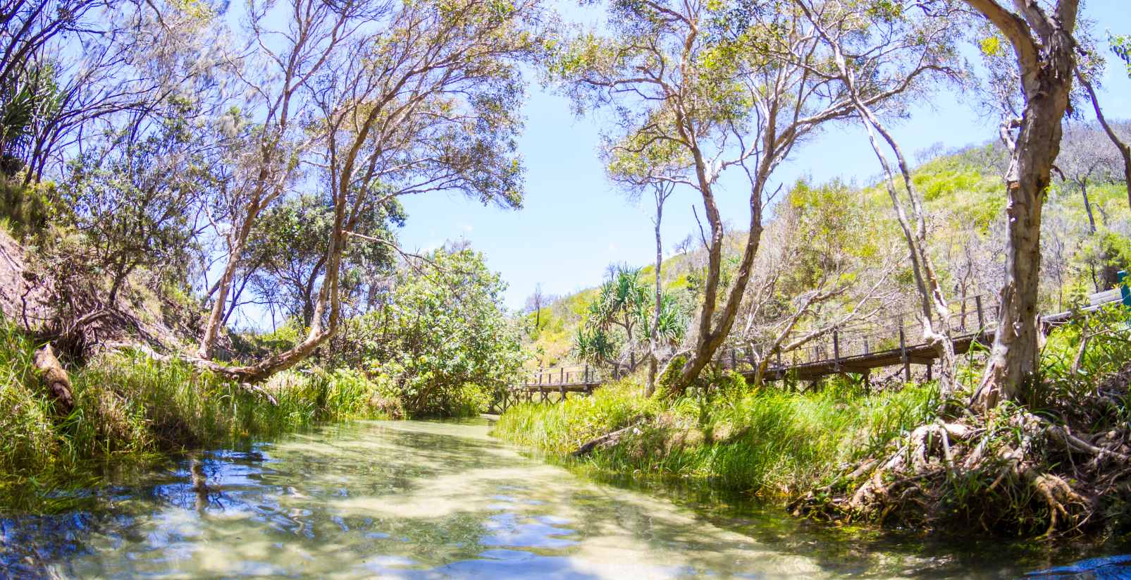 Eli Creek